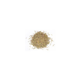 Romarin Bio - vrac professionnel | BioGoût