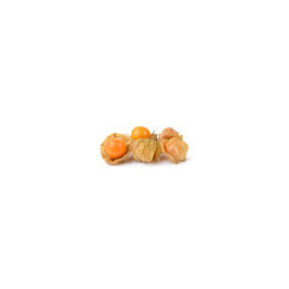 Physalis (baies des Incas) séché Bio | BioGoût