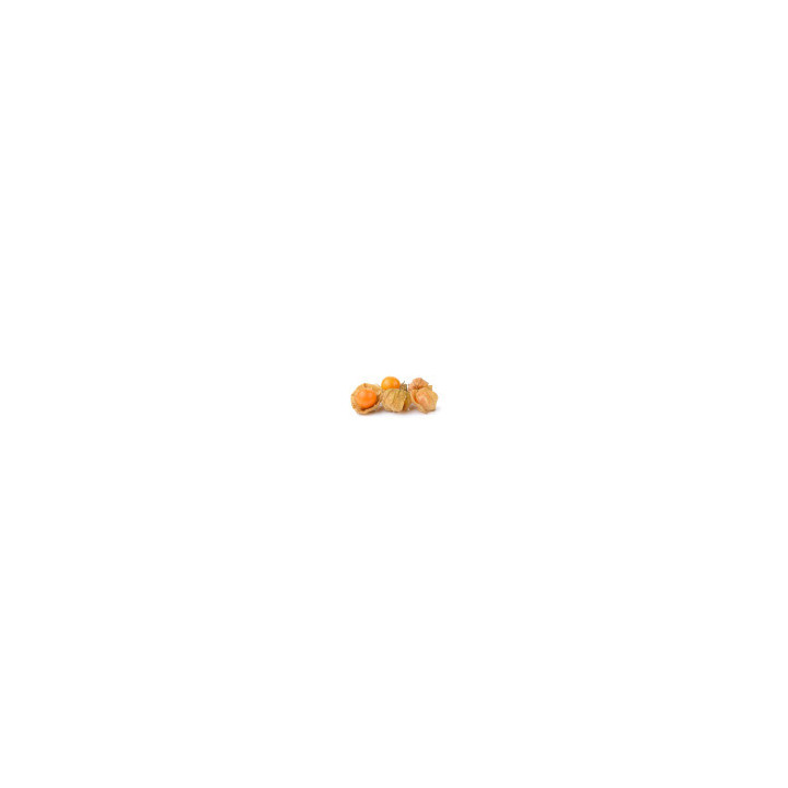 Physalis (baies des Incas) séché Bio | BioGoût