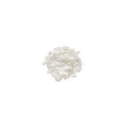 Noix de coco en lamelles Bio - format pro | BioGoût