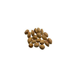 Pistache en Coque Nature Bio - vrac pro | BioGoût