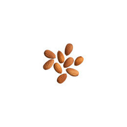 Amandes Nature Bio - vrac professionnel | BioGoût