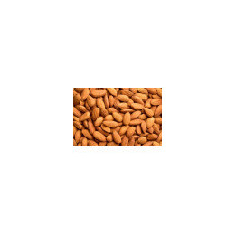 Amande Grillée Nature Bio - vrac pro | BioGoût