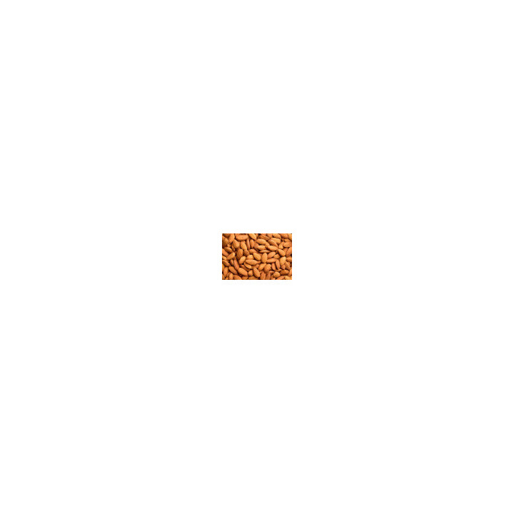 Amande Grillée Nature Bio - vrac pro | BioGoût