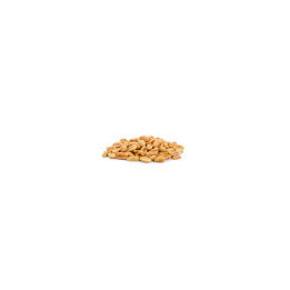 Cacahuètes Décortiquées Grillées Bio - vrac pro | BioGoût