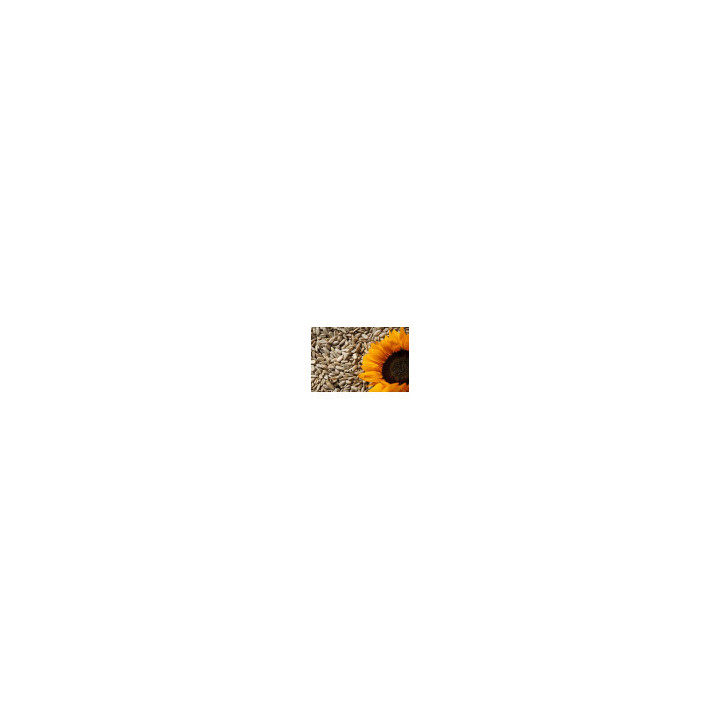 Graines de Tournesol Décortiquées Bio - vrac pro | BioGoût