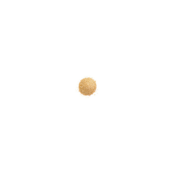 Quinoa Blanc Bio - vrac professionnel | BioGoût