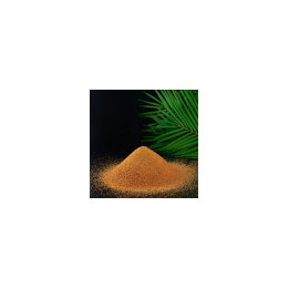 Sucre de Canne Complet Rapadura Bio - vrac pro | BioGoût