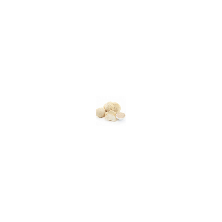 Héricium Lion's Mane en Poudre Bio - vrac pro | BioGoût