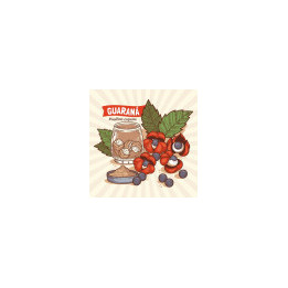 Guarana en Poudre Bio - vrac pro | BioGoût