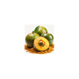 Lucuma en Poudre Bio 100g - échantillon pro | BioGoût
