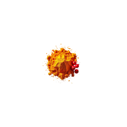 Cynorrhodon en Poudre Bio - vrac pro | BioGoût
