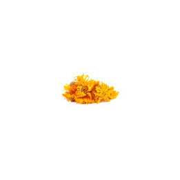 Souci Calendula Fleur Entière Bio - pro | BioGoût