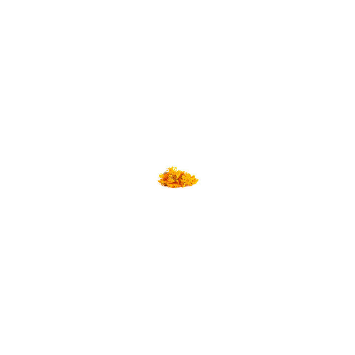 Souci Calendula Fleur Entière Bio - pro | BioGoût