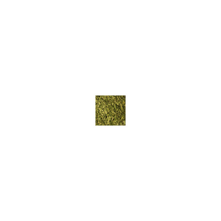 Feuilles de Moringa Bio - vrac professionnel | BioGoût