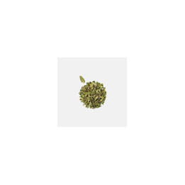 Menthe Poivrée Bio - vrac professionnel | BioGoût
