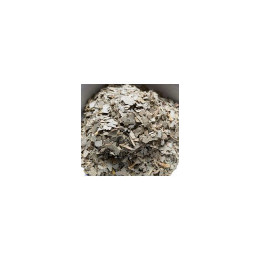 Eucalyptus Bio - vrac professionnel | BioGoût