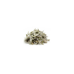 Sauge Bio - vrac professionnel | BioGoût