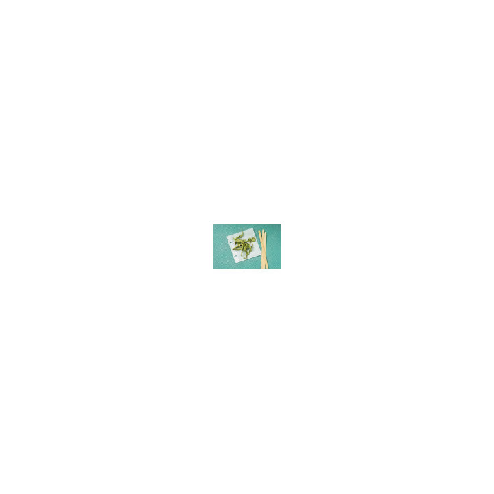 Verveine Bio - vrac professionnel | BioGoût