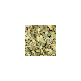 Feuilles de Laurier Bio 100g