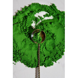 Spiruline verte en poudre Bio, carton 20 kg | BioGoût