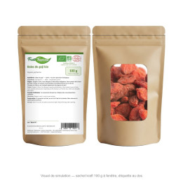 Sachet kraft 100 g FruitsTropicaux - baies de goji bio