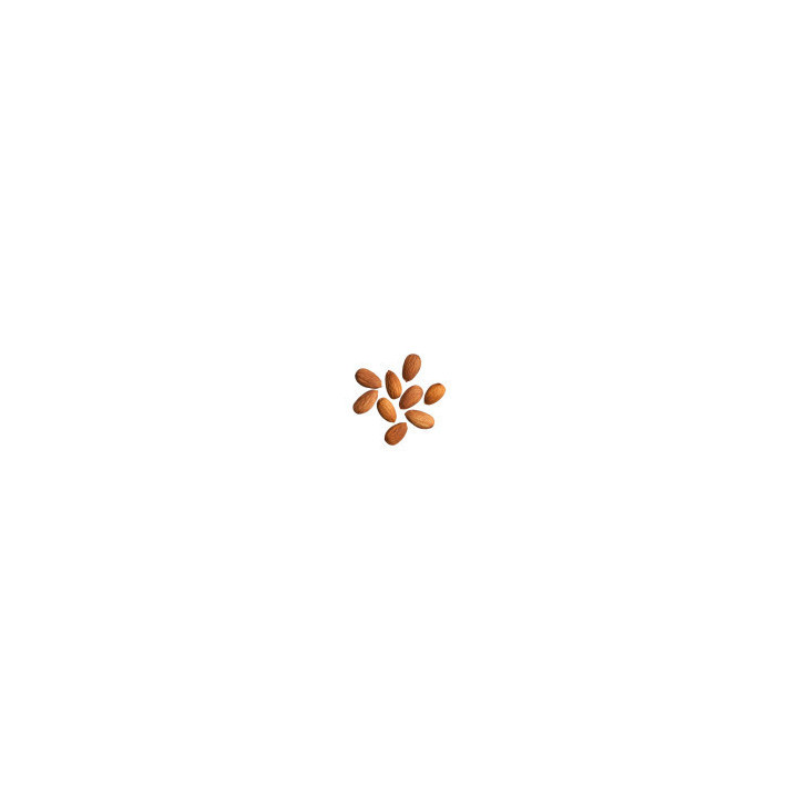 Amandes nature Bio - carton 10 x 100 g