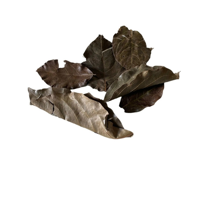 Feuilles de kinkéliba Bio - sachet kraft 30 g