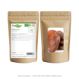 Abricots secs bio - sachet kraft 100 g