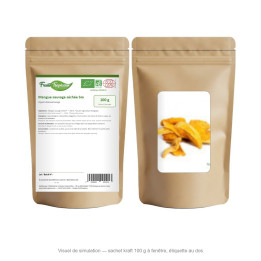 Mangue sauvage séchée bio - sachet kraft 100 g