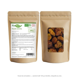 Physalis séché bio - sachet kraft 100 g