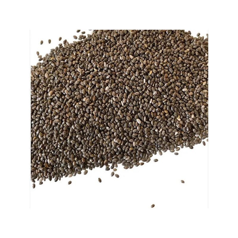 Graines de Chia Bio