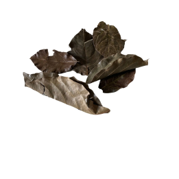 Feuilles de Kinkéliba Séchées bio
