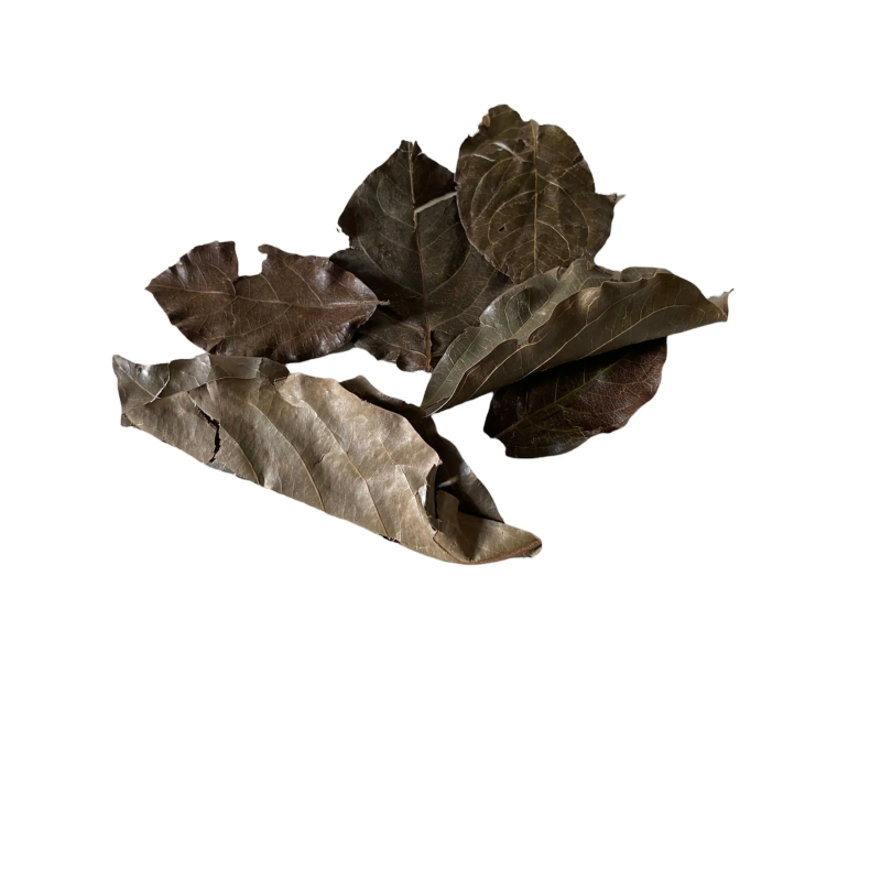 Feuilles de Kinkéliba Séchées Bio